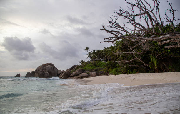 granite rocks at the beach, seychelles - 2843 imagens e fotografias de stock