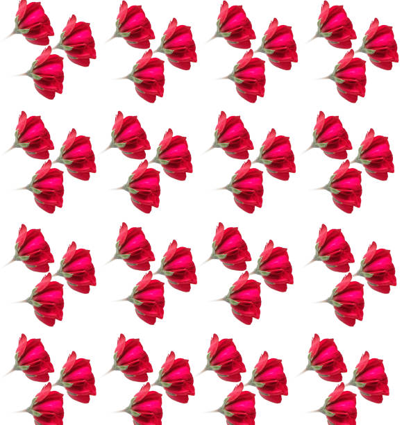 istock red flowers  Rose print - seamless background 1192713574