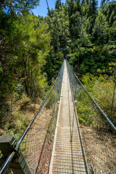 istock Abel Tasman National Park 1192714393