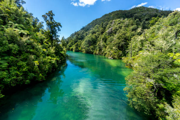 istock Abel Tasman National Park 1192714811