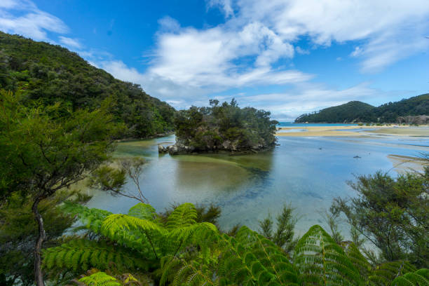 istock Abel Tasman National Park 1192717540