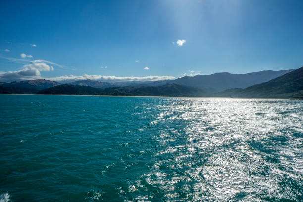 istock Abel Tasman National Park 1192717572