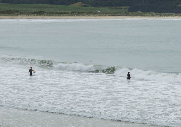 istock Porpoise Bay - The Caitlins 1192720110