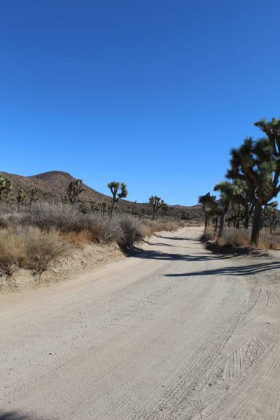 istock DESERT ROAD - LOST HORSE MINE - 110619 C 1192720822