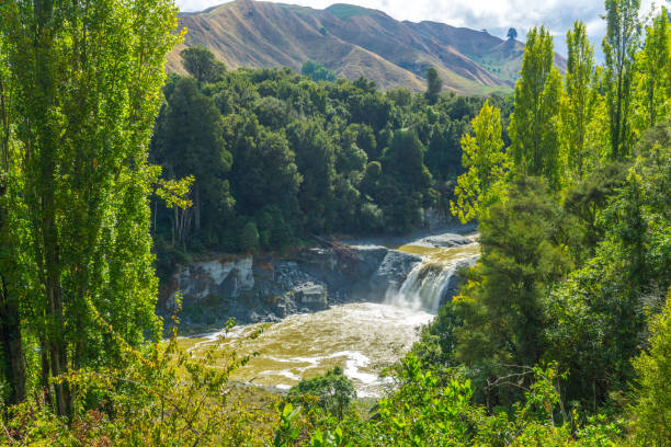 Whanganui River New Zealand