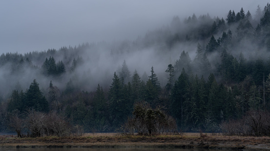 Rolling Fog Above Oyster Bay Along the Hillside Late Afternoon