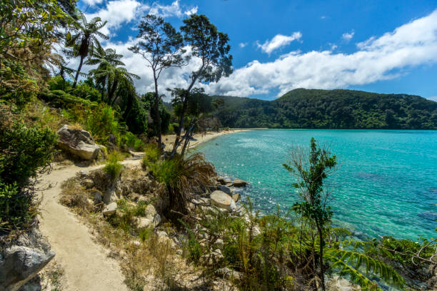 abel tasman national park - abel tasman national park imagens e fotografias de stock