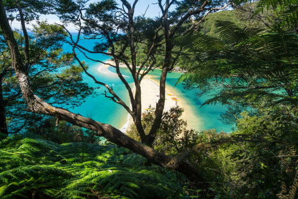 Abel Tasman National Park Abel Tasman National Park abel tasman national park stock pictures, royalty-free photos & images