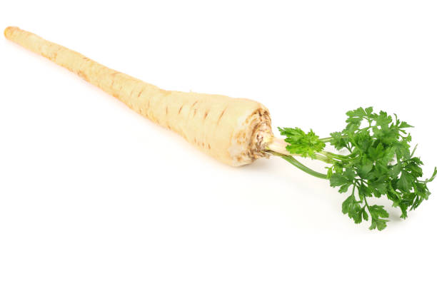 istock fresh parsley root isolated on white background 1192723524