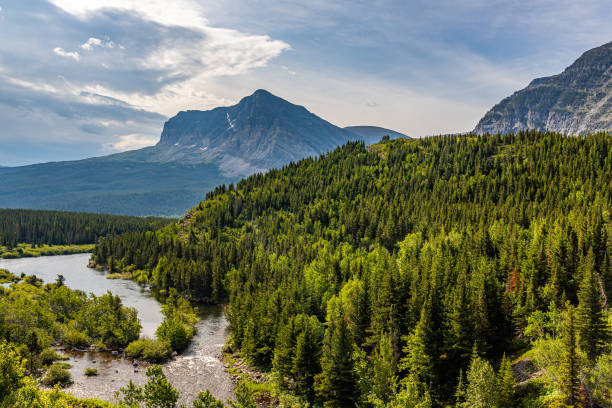 istock Swiftcurrent Creek and Wynn Mountain 1192729932