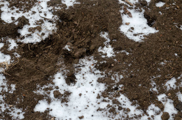 istock Melting snow on plowed soil. Spring view of plowed field 1192732082