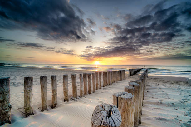 briseurs d'onde de domburg à mar�ée basse et coucher du soleil - zeeland photos et images de collection