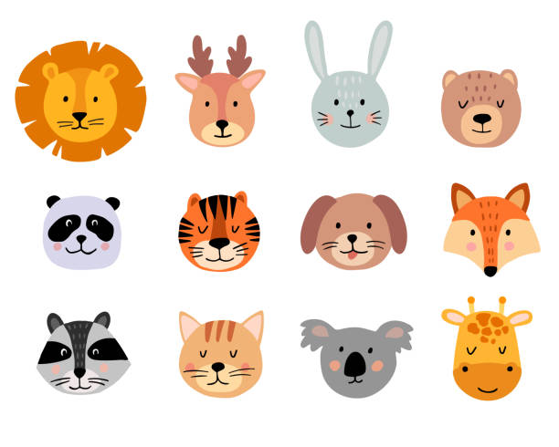 urocze ręcznie rysowane twarze zwierząt ustawione na białym tle. postacie z kreskówek lwa, żyrafa, jelenie, koala, niedźwiedź, kot, króliczek, lis, szop, tygrys, pies, panda. - las deszczowy ilustracje stock illustrations