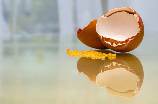 istock Cracked eggs shells and crumbs on a glass surface indoors 1192738902
