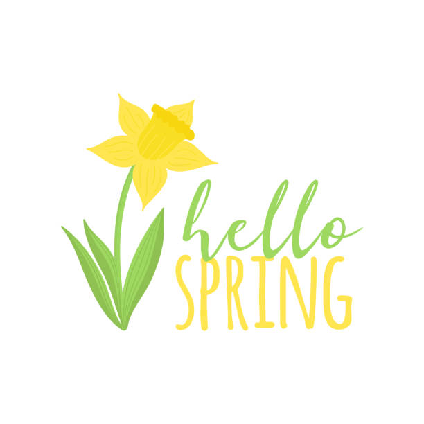 ilustraciones, imágenes clip art, dibujos animados e iconos de stock de hola flor de primavera - daffodil stem yellow spring