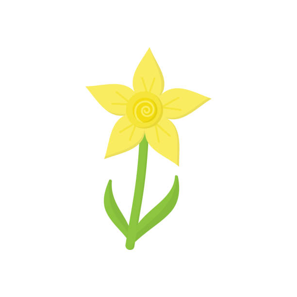 цветок нарцисс - daffodil stem yellow spring stock illustrations
