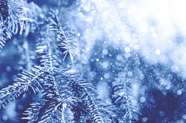 istock Christmas background of fir tree. 1192744981