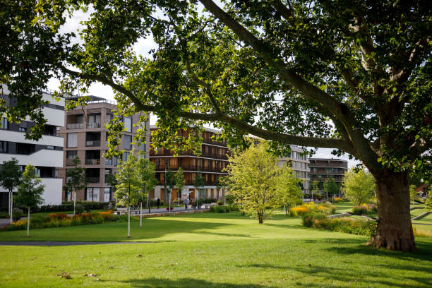 green space with a tree and a lawn in a modern area during the Federal Garden Show 2019 BUGA Heilbronn Heilbronn, Germany - August 12, 2019. Ambient space and modern homes during the Federal Garden Show 2019 BUGA Heilbronn heilbronn stock pictures, royalty-free photos & images