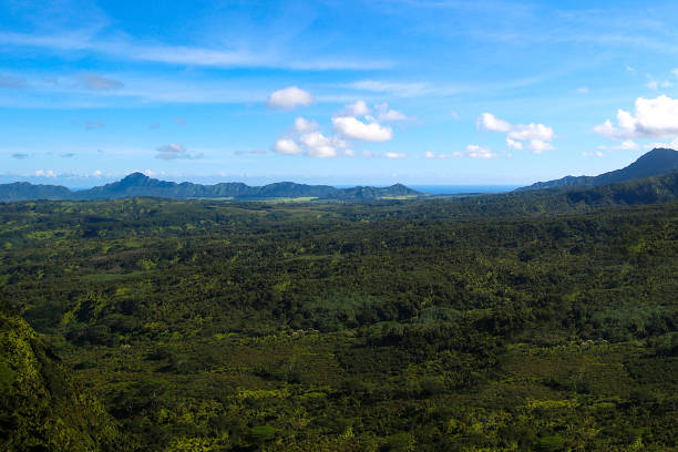 istock Kauai Landscape 1192751565
