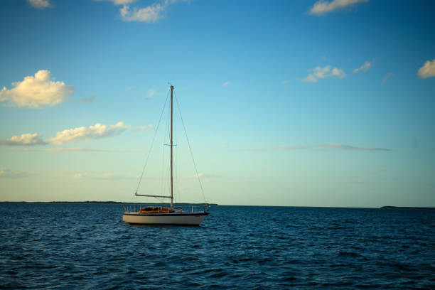istock Sailboat Miami Florida 1192754992