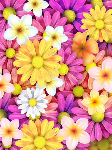 Hello Spring, flowers illustration
