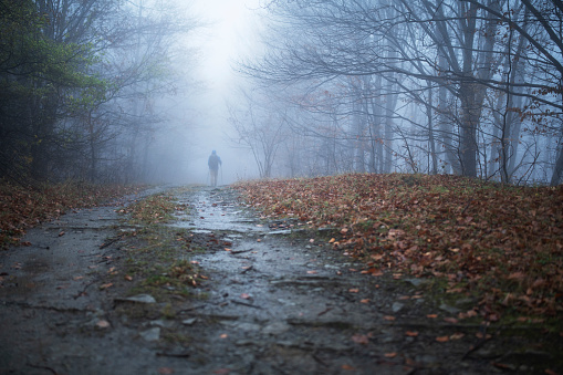 Full length epic scale man hiking along trail in foggy forest.