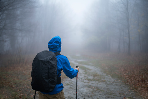 Rear view of man hiking along trail in foggy forest.