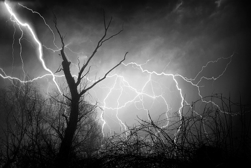 Thunder and lightnings in the winter forest.