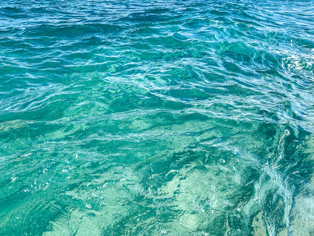 istock turquoise waves crashing on the beach 1192767080