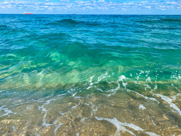 istock turquoise waves crashing on the beach 1192767187