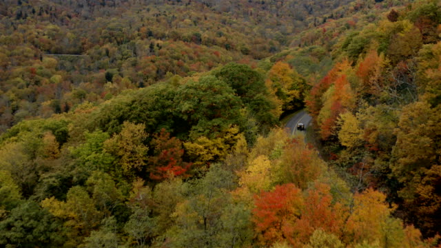 Blue Ridge Parkway In the Fall