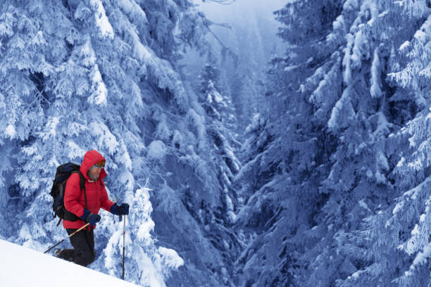 istock Hiker makes his way on snowy slope in snow-covered forest 1192775541
