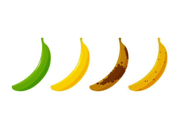 istock a set of banana's ripe phases. 1192780757