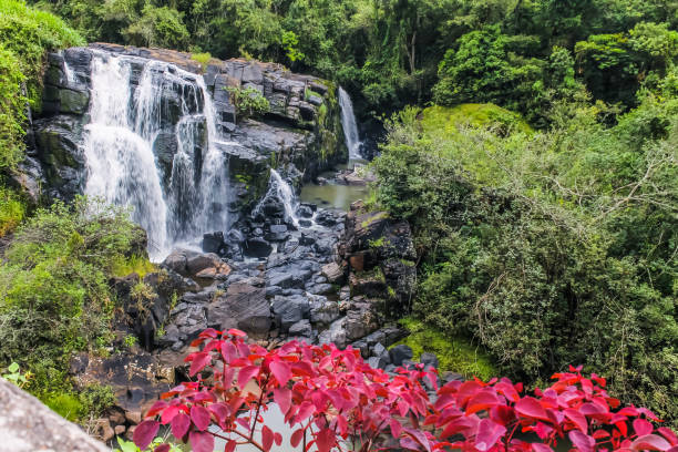 an amazing waterfall in poços de caldas - mg - awe beauty in nature waterfall cool imagens e fotografias de stock