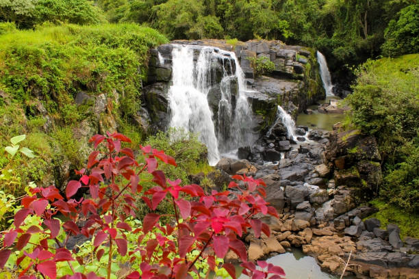 포소스 데 칼다스의 놀라운 폭포 - mg - awe beauty in nature waterfall cool 뉴스 사진 이미지