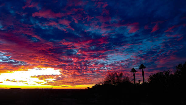 istock Wild Sonoran Desert sunset 1192786391