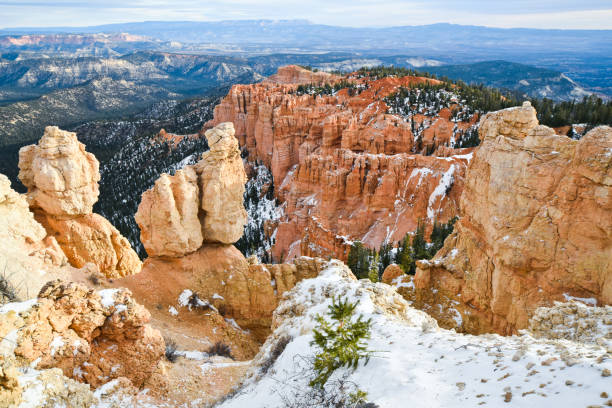 Spectacular landscapes in the Bryce canyon national park Red Rocks, Pink Cliffs, and Endless Vistas sunrise point stock pictures, royalty-free photos & images