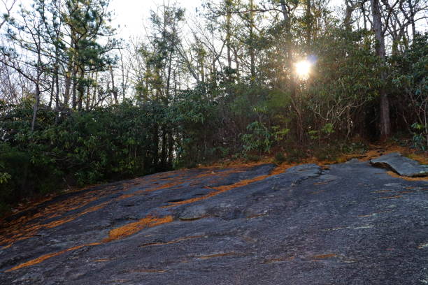 istock Clifftops of John Rock, Pisgah National Forest 1192789968