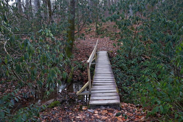 istock Footbridge in Pisgah National Forest 1192789970
