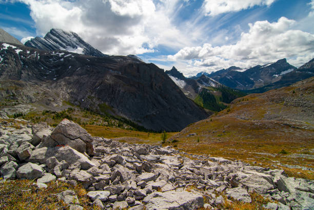 View looking southwest into British Columbia in late summer. This is the end of the South Burstall hiking trail that stretches across a high flat and rocky area.