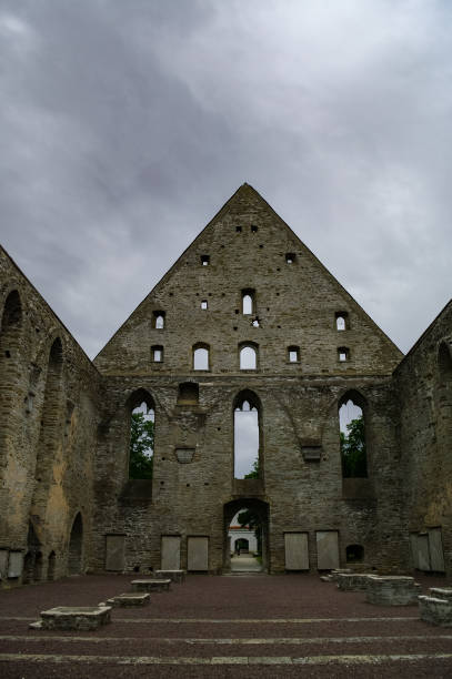 antikes kloster st. brigitta in der region pirita, tallinn, estland - estonia tallinn old ruin ruined stock-fotos und bilder