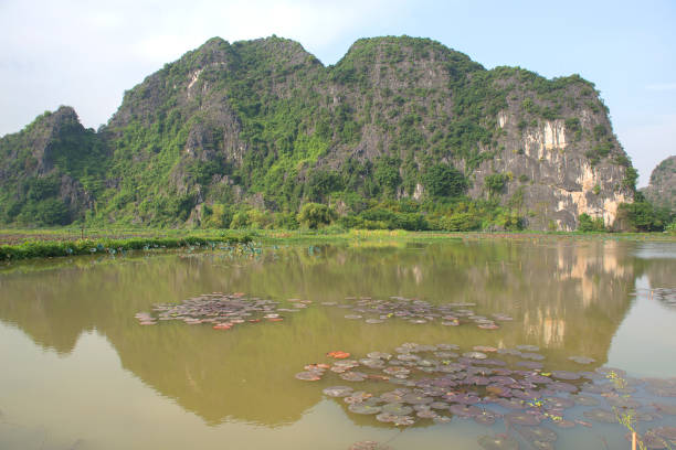 istock Panoramic view of karst formations in Tam Coc, a part of Trang An Complex , Ninh Binh 1192812899