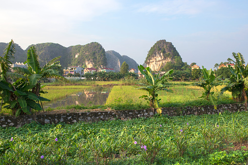 Panoramic view of karst formations in Tam Coc, a part of Trang An Complex , was declared a UNESCO World Heritage Natural and Cultural Monument.Ninh Binh province, Vietnam