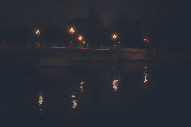 istock Night bridge with lanterns to forest park above the neva river 1192814019