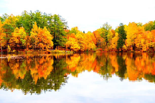 istock Beautiful autumn landscape. 1192814659