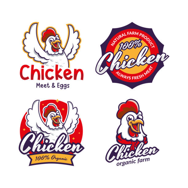 ilustrações, clipart, desenhos animados e ícones de modelo do logotipo do restaurante da galinha fritada - chicken eggs animal egg cartoon