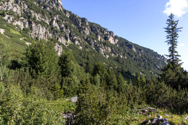 istock Malyoviska river Valley at Rila Mountain, Bulgaria 1192817236