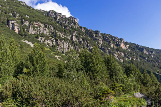 istock Malyoviska river Valley at Rila Mountain, Bulgaria 1192817255