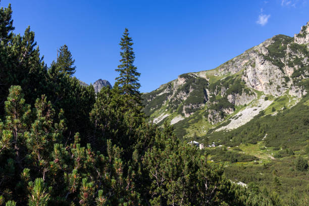 istock Malyoviska river Valley at Rila Mountain, Bulgaria 1192817621