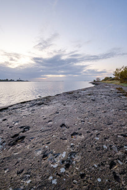 istock frozen sea beach with sand and first snow in cloudy day 1192824253